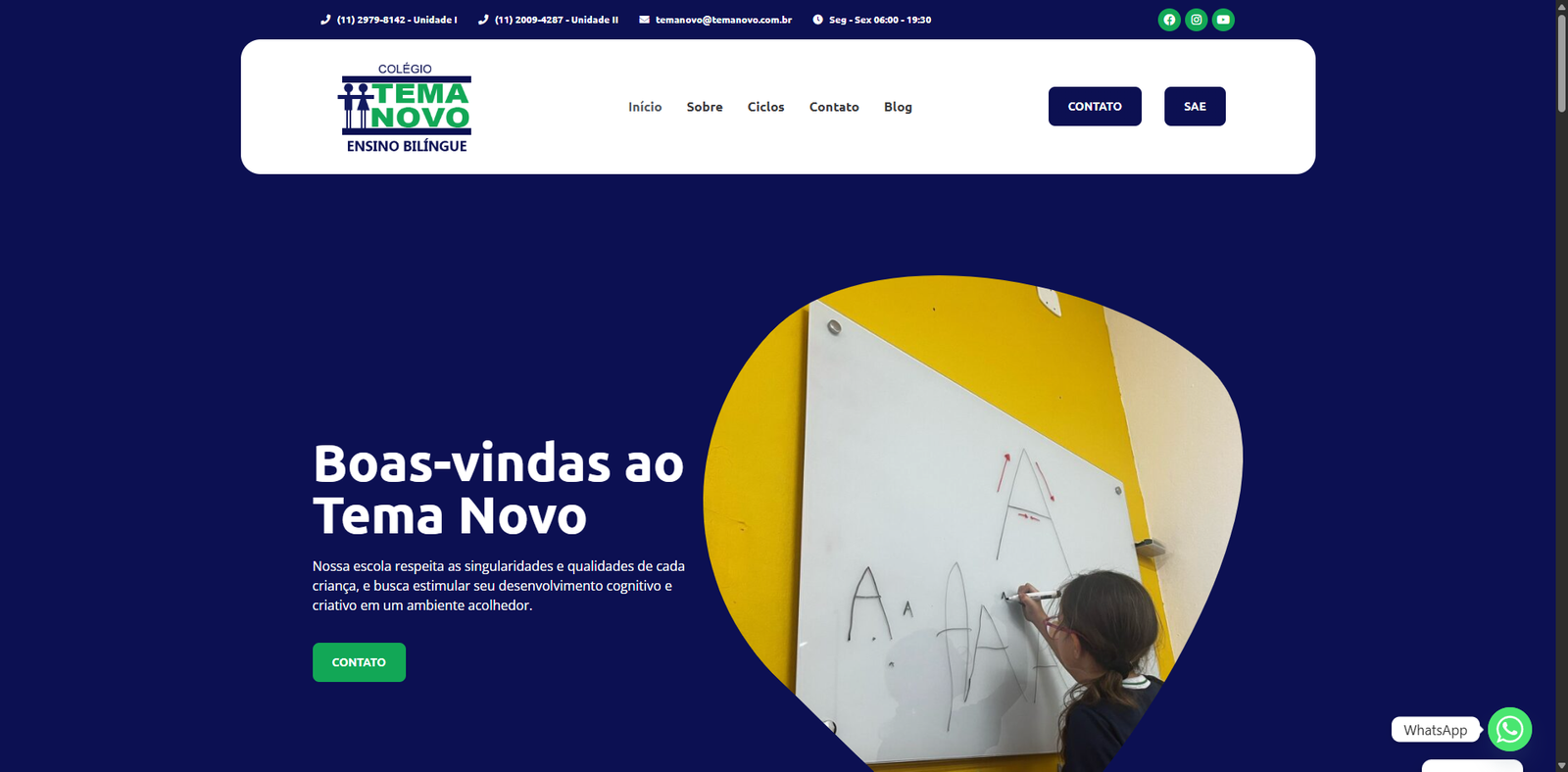 Tema Novo